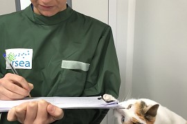 Formation pour vétérinaire